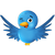 Volg ons op Twitter
